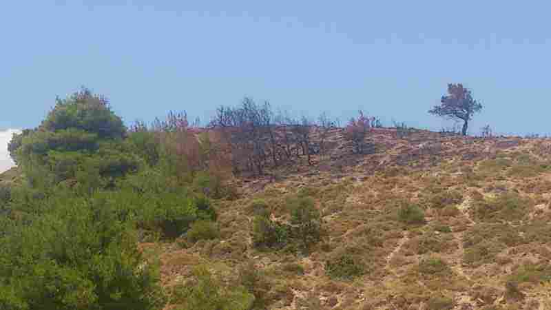 Το σημείο όπου εμφανίστηκε η πρώτη εστία φωτιάς στη Στεφάνη Δερβενοχωρίων